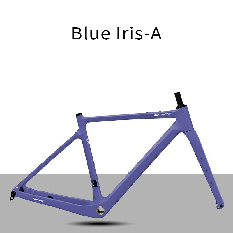 BXT Carbon Gravel Bike Frame UDH Internal Cable Fully Hidden Cable Gravel Bicycle Frameset Road Bike Disc Brake