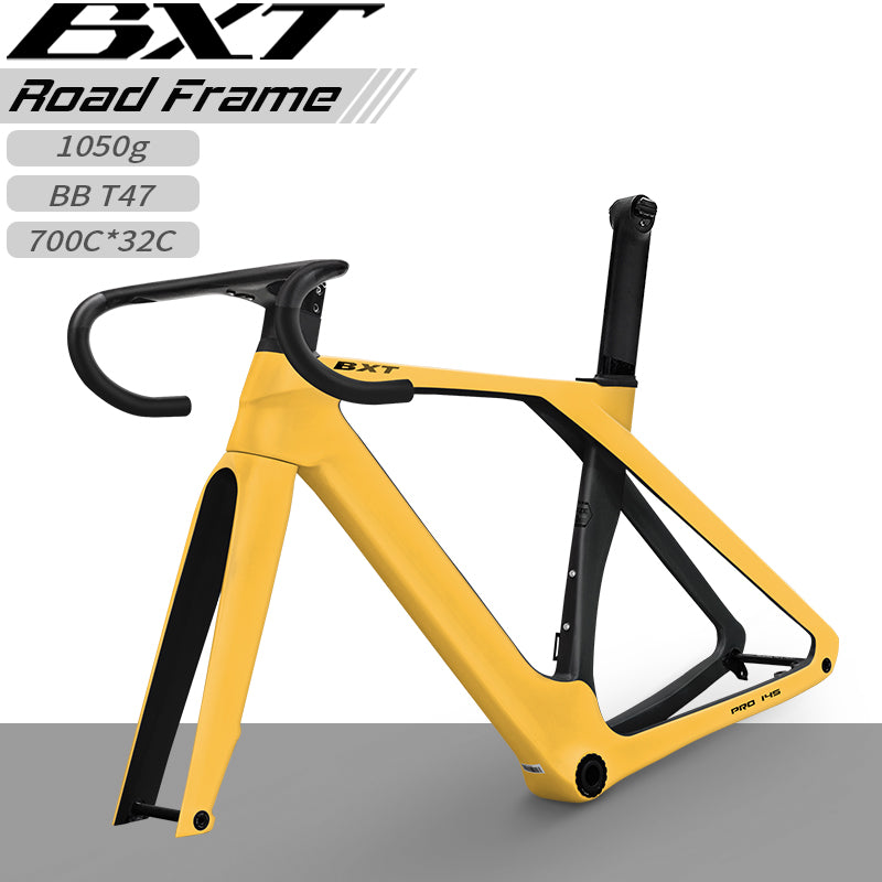 BXT Fully Hidden Carbon Disc Road Bike Frameset Lightweight Road Bicycle Carbon Frame Aerodynamic DI2