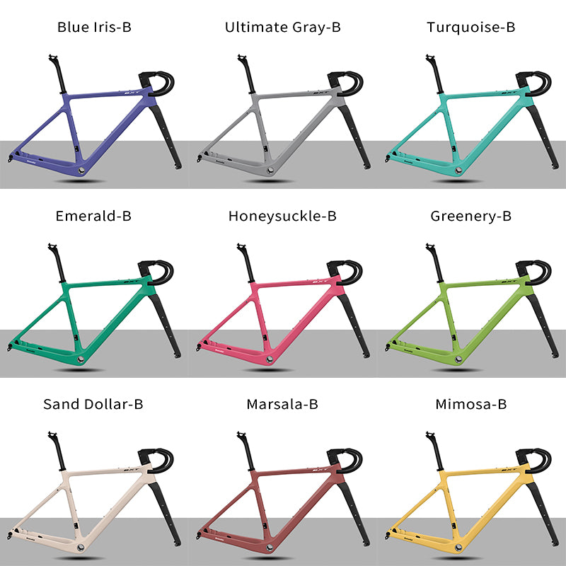 BXT Road Bicycle Frame Gravel Frame UDH Carbon 700C Flat Mount Disc Brake With Carbon Fork and Handlebar Thru Axle 12x142mm