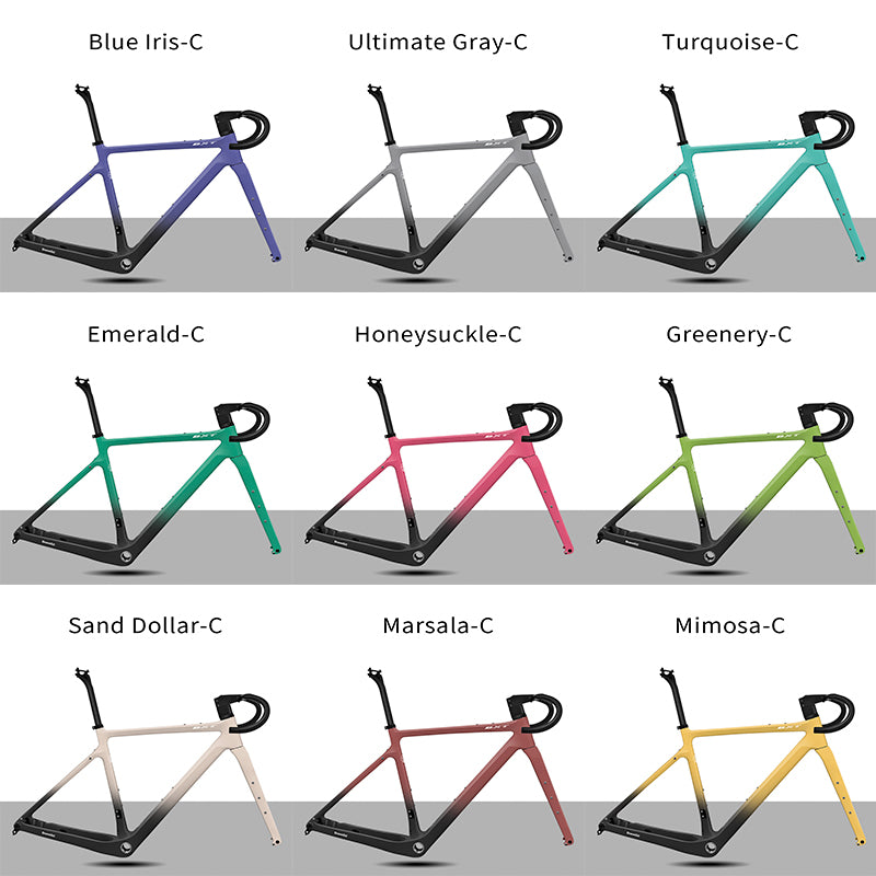 BXT Road Bicycle Frame Gravel Frame UDH Carbon 700C Flat Mount Disc Brake With Carbon Fork and Handlebar Thru Axle 12x142mm