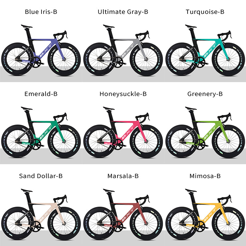 2025 New BXT 045 Carbon Track Bike Full Fixed Gear Racing Bicycle 700C Lightweight Frame