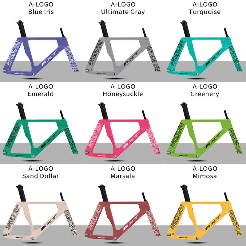 BXT 700C Carbon Fiber Track Bike Frame Fixed Gear Bike Carbon Frameset Track Frame model-TRC-195 use EPS Technology