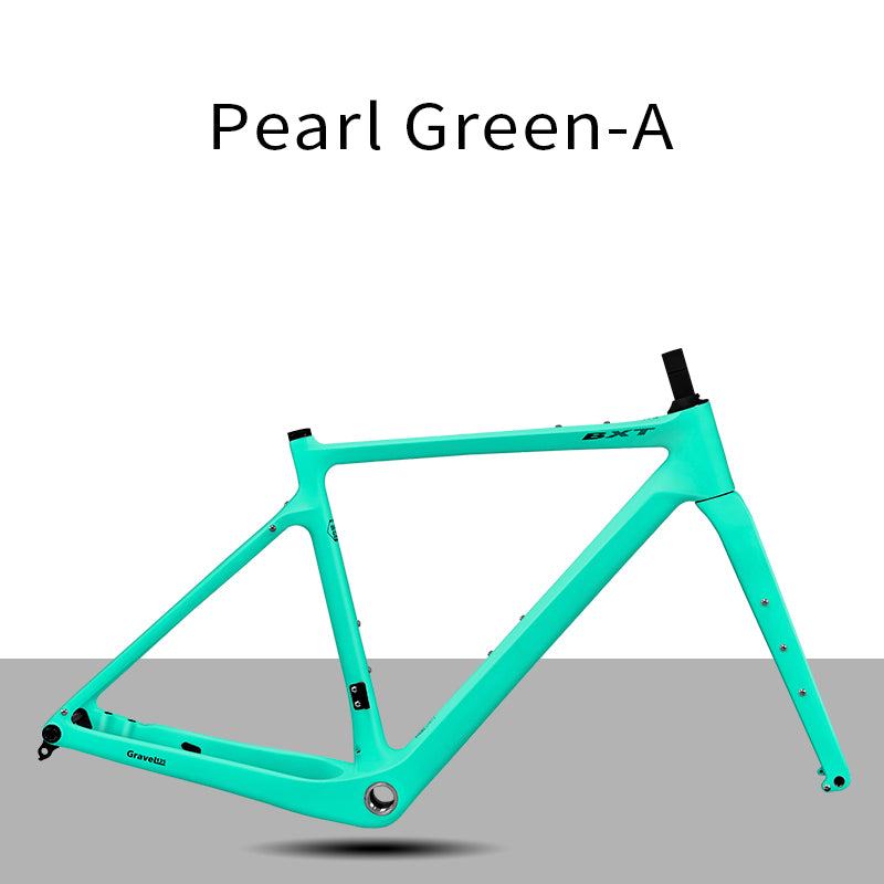 BXT Carbon Gravel Bike Frame UDH Internal Cable Fully Hidden Cable Gravel Bicycle Frameset Road Bike Disc Brake