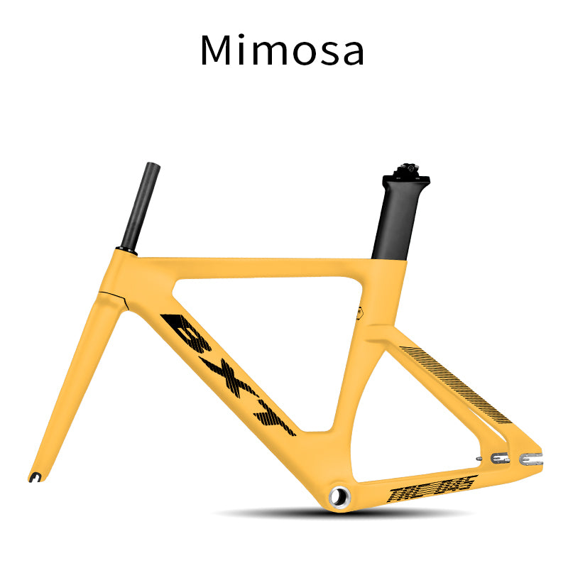 BXT Full Carbon Frame Track Bicycle Frame 700C BXT-045 Track Bike Frame Set Carbon Fixed Gear Track Racing Bicycle Frame