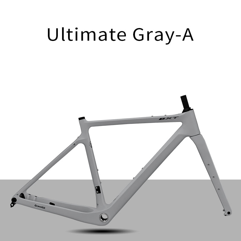 BXT Carbon Gravel Bike Frame UDH Internal Cable Fully Hidden Cable Gravel Bicycle Frameset Road Bike Disc Brake