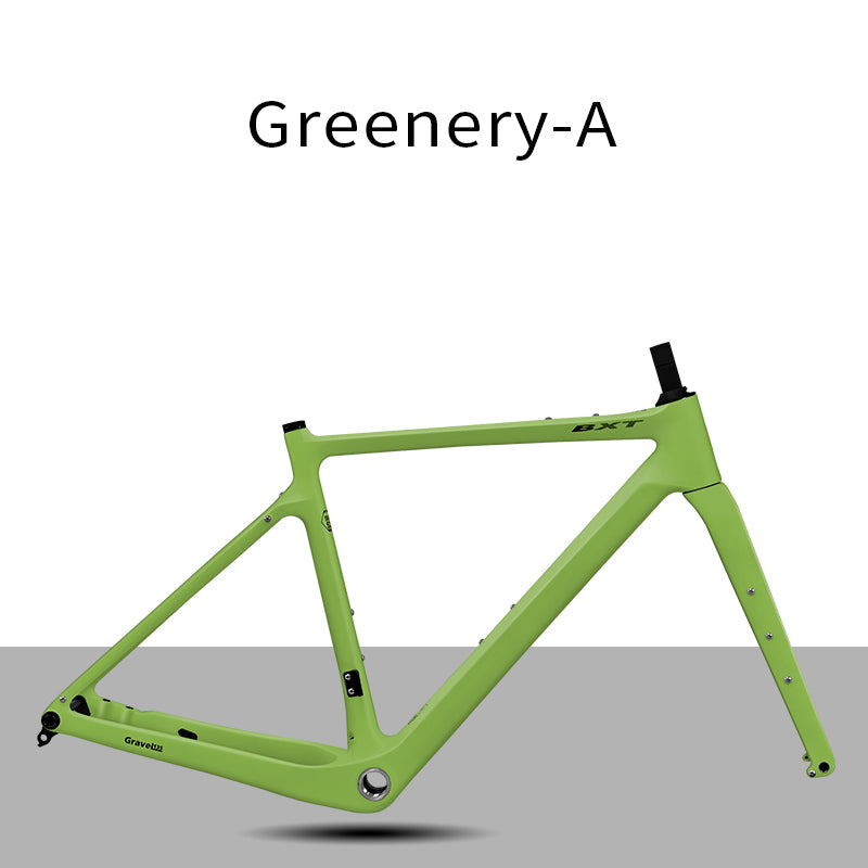 BXT Carbon Gravel Bike Frame UDH Internal Cable Fully Hidden Cable Gravel Bicycle Frameset Road Bike Disc Brake