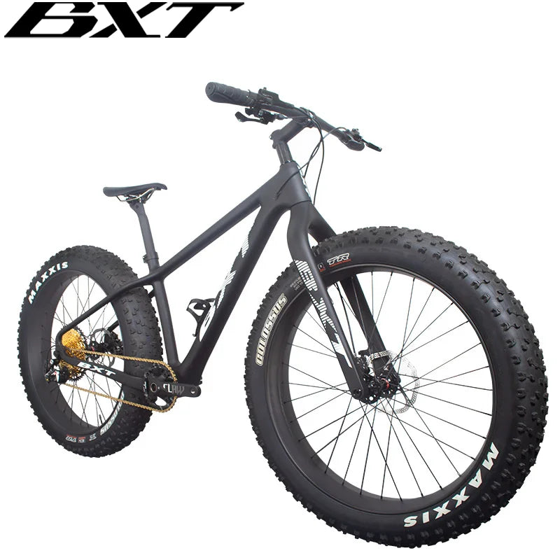 Carbon fiber fat bike frame on sale