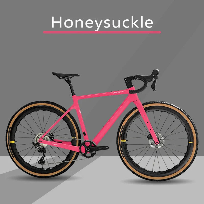 BXT Carbon Gravel Bike 700*40C Disc Brake SHIMANO R7170 Electric transformer 2*12s Full Internal Gravel Bike rennrad DI2