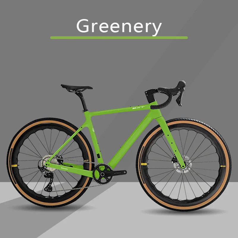 BXT Carbon Gravel Bike 700*40C Disc Brake SHIMANO R7170 Electric transformer 2*12s Full Internal Gravel Bike rennrad DI2