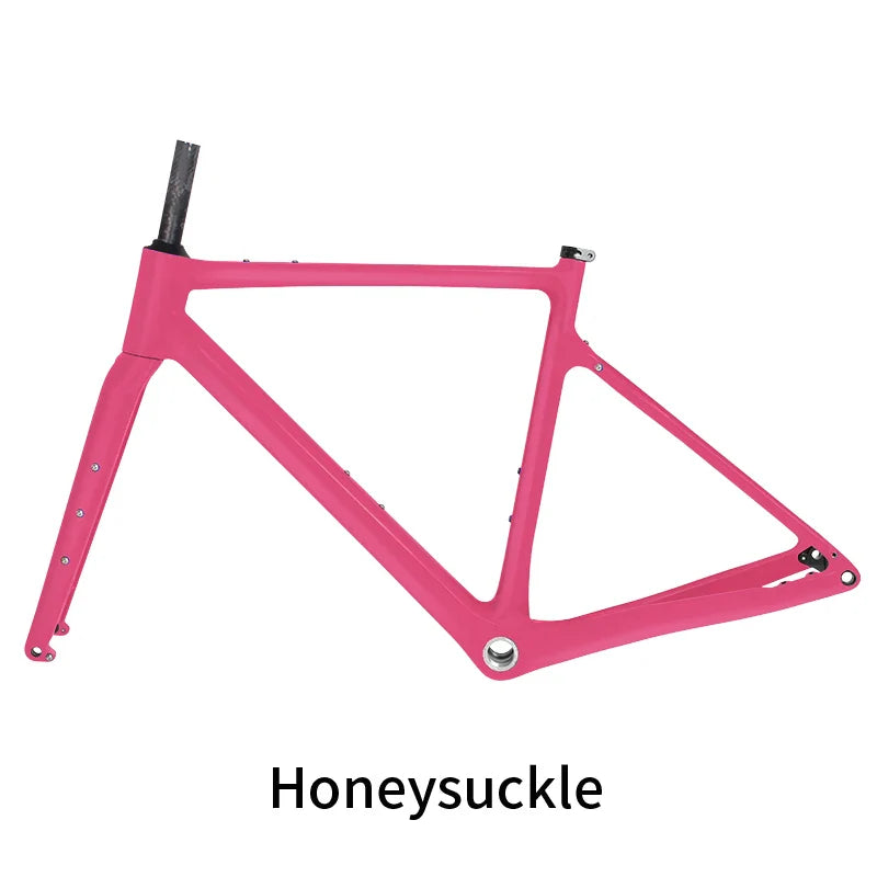 BXT Carbon Gravel Bike Frame Internal Cable Fully Hidden Cable Gravel Bicycle Frameset Road Bike Disc Brake