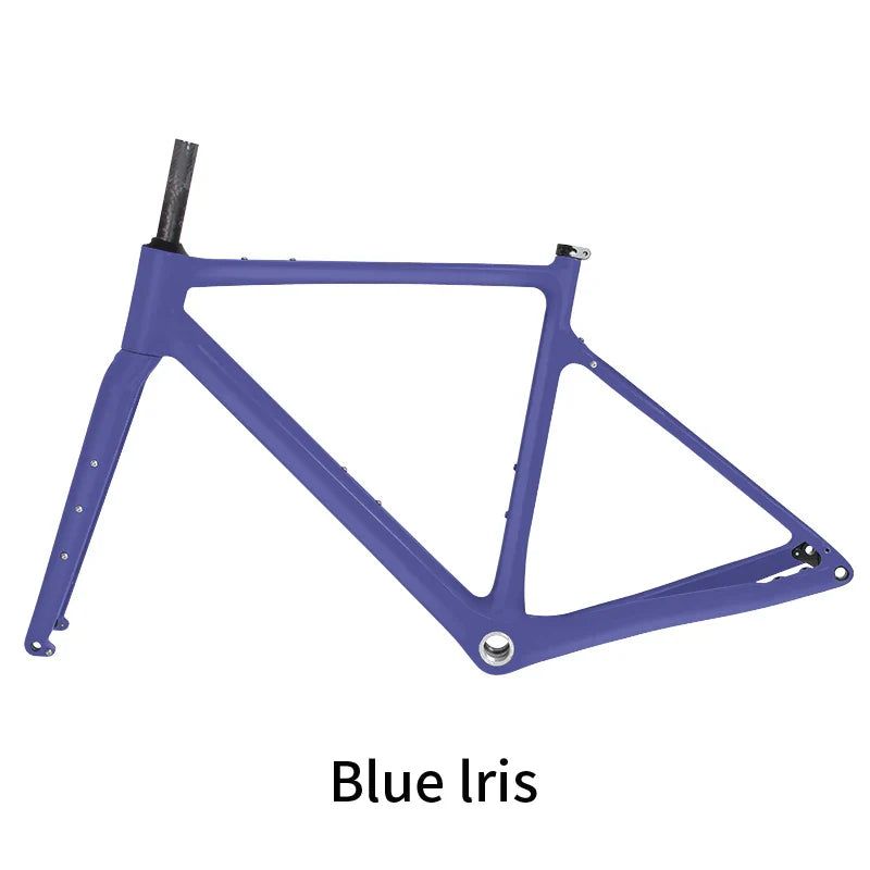 BXT Carbon Gravel Bike Frame Internal Cable Fully Hidden Cable Gravel Bicycle Frameset Road Bike Disc Brake