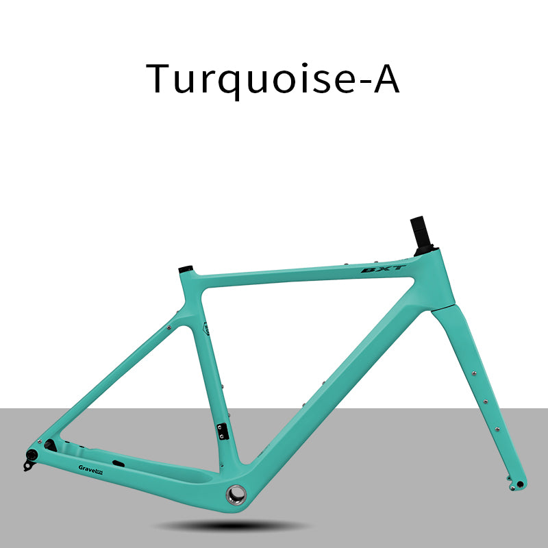 BXT Carbon Gravel Bike Frame UDH Internal Cable Fully Hidden Cable Gravel Bicycle Frameset Road Bike Disc Brake
