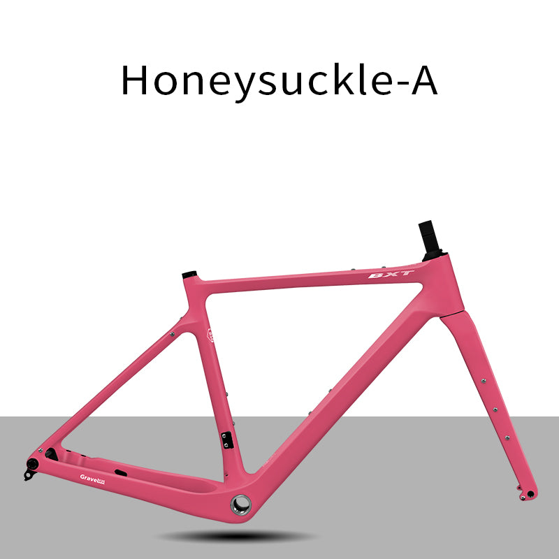 BXT Carbon Gravel Bike Frame UDH Internal Cable Fully Hidden Cable Gravel Bicycle Frameset Road Bike Disc Brake