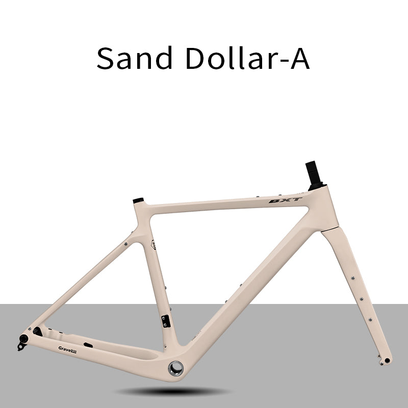 BXT Carbon Gravel Bike Frame UDH Internal Cable Fully Hidden Cable Gravel Bicycle Frameset Road Bike Disc Brake