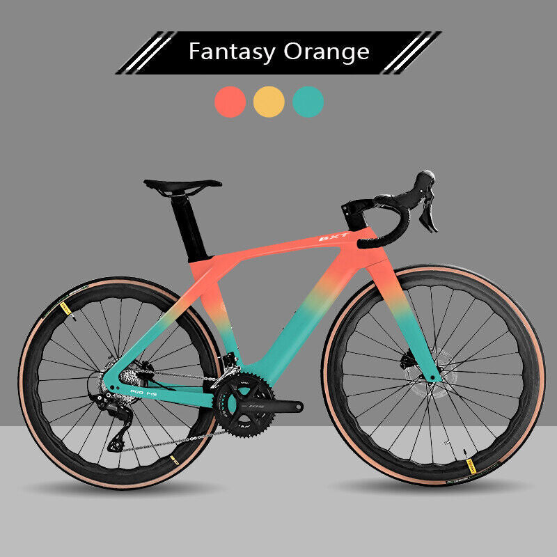 Carbon Road Bike Shimano R7120 Groupset 2x12 Speed Disc Brake 700x25C Carbon Frame