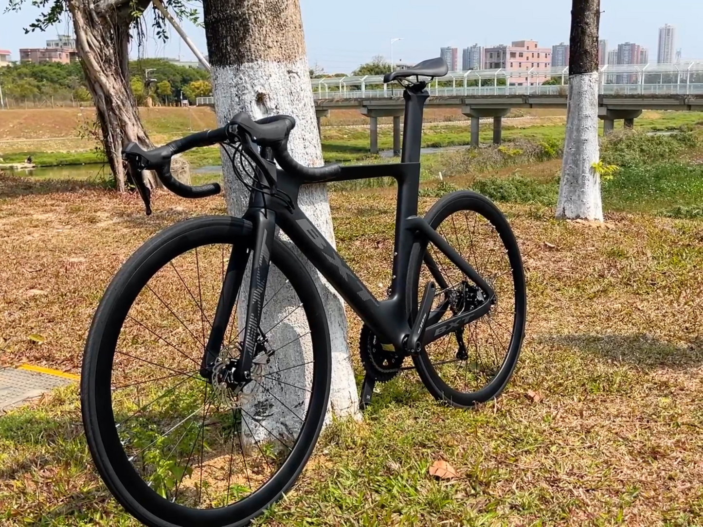 BXT Complete Carbon Road Bike Disc Brake R7000 22-Speed Road Racing Carbon Bike