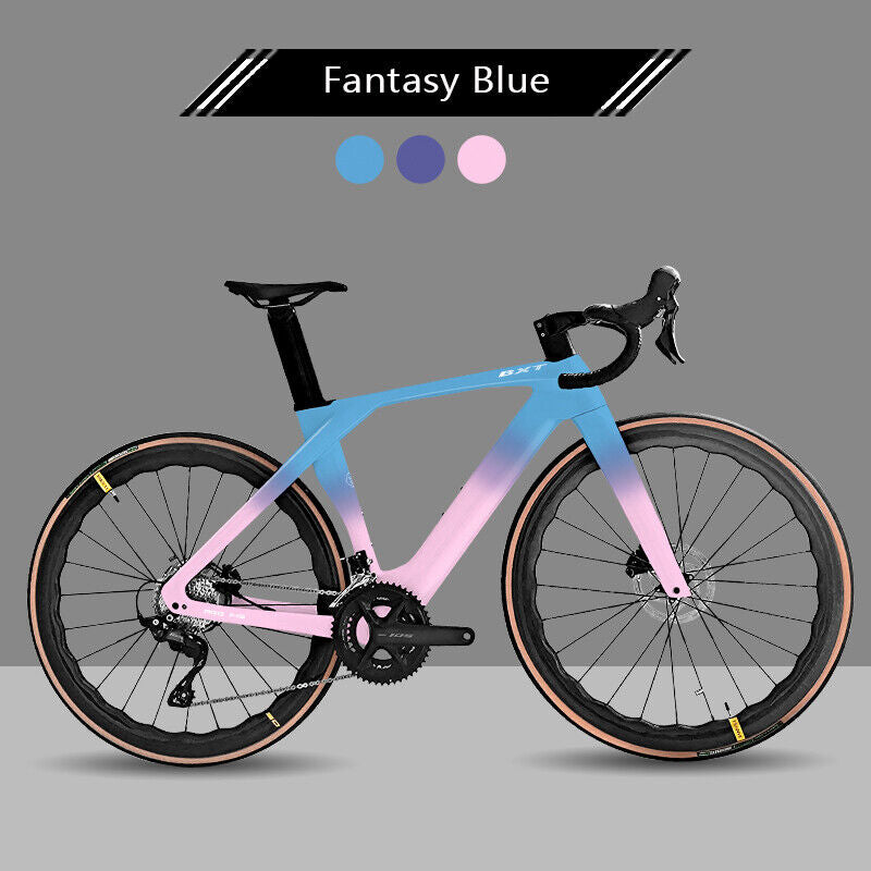 Carbon Road Bike Shimano R7120 Groupset 2x12 Speed Disc Brake 700x25C Carbon Frame