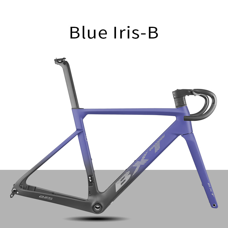 BXT  Carbon Road Bike Frame XXXS-XL size Disc Brake Full Hidden Cable UDH Hanger Road Bicycle Frameset T1000 With