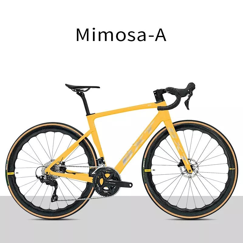BXT Carbon Road Bike 24 Gang Ultraleichter Carbon Rennrad Hydraulisch Scheibenbremse 49cm 52cm 54cm 56cm