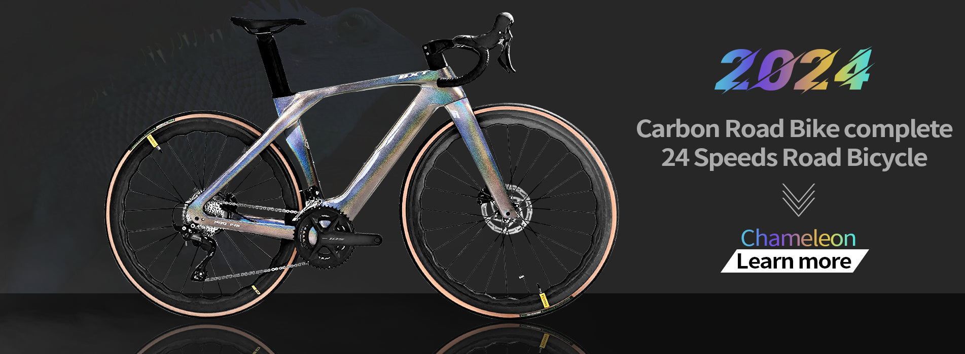BXT provides professional sales of complete carbon fiber bicycles