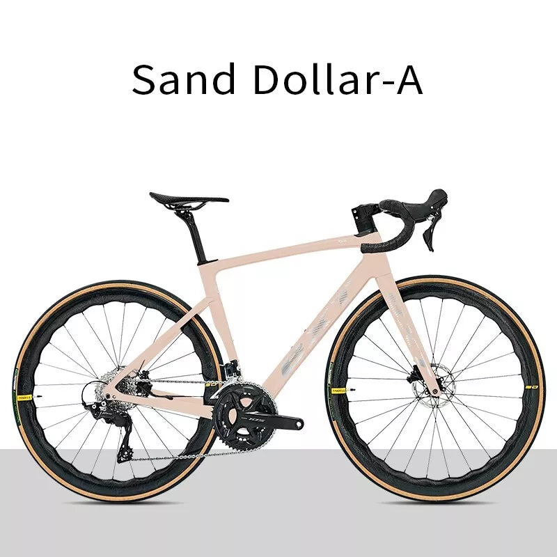 BXT Carbon Road Bike 24 Gang Ultraleichter Carbon Rennrad Hydraulisch Scheibenbremse 49cm 52cm 54cm 56cm
