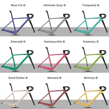 BXT Road Bicycle Frame Gravel Frame UDH Carbon 700C Flat Mount Disc Brake With Carbon Fork and Handlebar Thru Axle 12x142mm