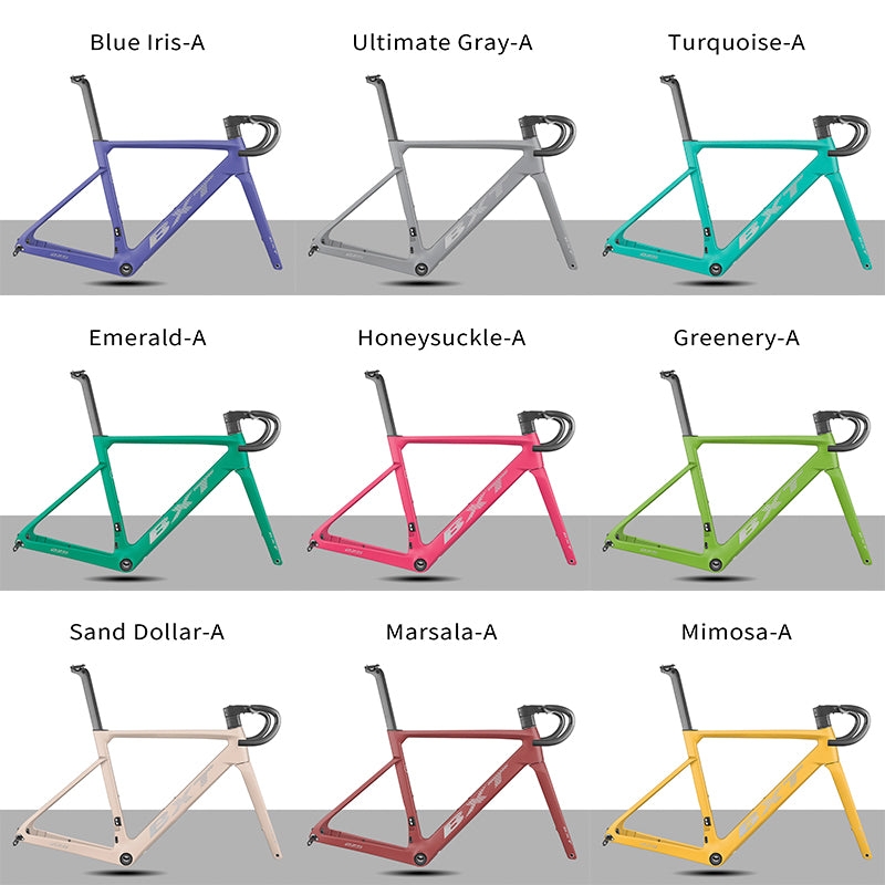 BXT Carbon Road Bike Frame Disc Brake, suitable for young riders/short person，Parent-child bicycle frame XXXS-XL, UDH  Hanger Full Hidden Cable road frameset