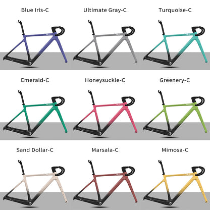BXT Road Bicycle Frame Gravel Frame UDH Carbon 700C Flat Mount Disc Brake With Carbon Fork and Handlebar Thru Axle 12x142mm