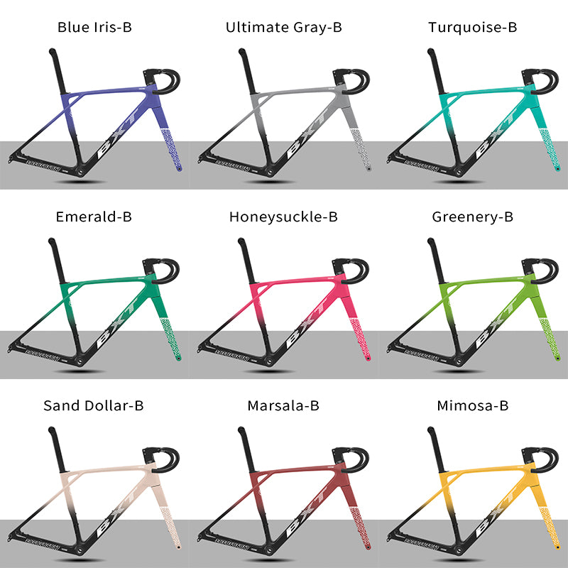 BXT 2026 NEW Fully Hidden Carbon Disc Road Bike Frame 900g Super light Road Bicycle Carbon Frame BXT-155-EVO