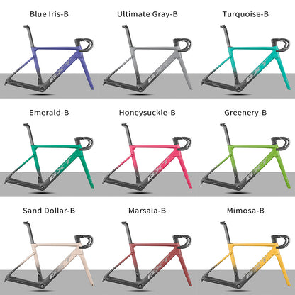 BXT Carbon Road Bike Frame Disc Brake, suitable for young riders/short person，Parent-child bicycle frame XXXS-XL, UDH  Hanger Full Hidden Cable road frameset