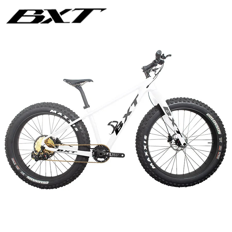 BXT NEW Full Carbon Bike snow carbon fat bike Axle Thru Rear space 197mm 26*4.8 tires Snow Complete 4.8tire Carbon Bicycle