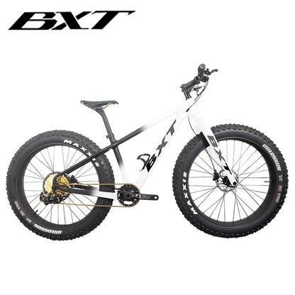 BXT NEW Full Carbon Bike snow carbon fat bike Axle Thru Rear space 197mm 26*4.8 tires Snow Complete 4.8tire Carbon Bicycle