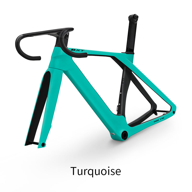 BXT Fully Hidden Carbon Disc Road Bike Frameset Lightweight Road Bicycle Carbon Frame  Aerodynamic DI2