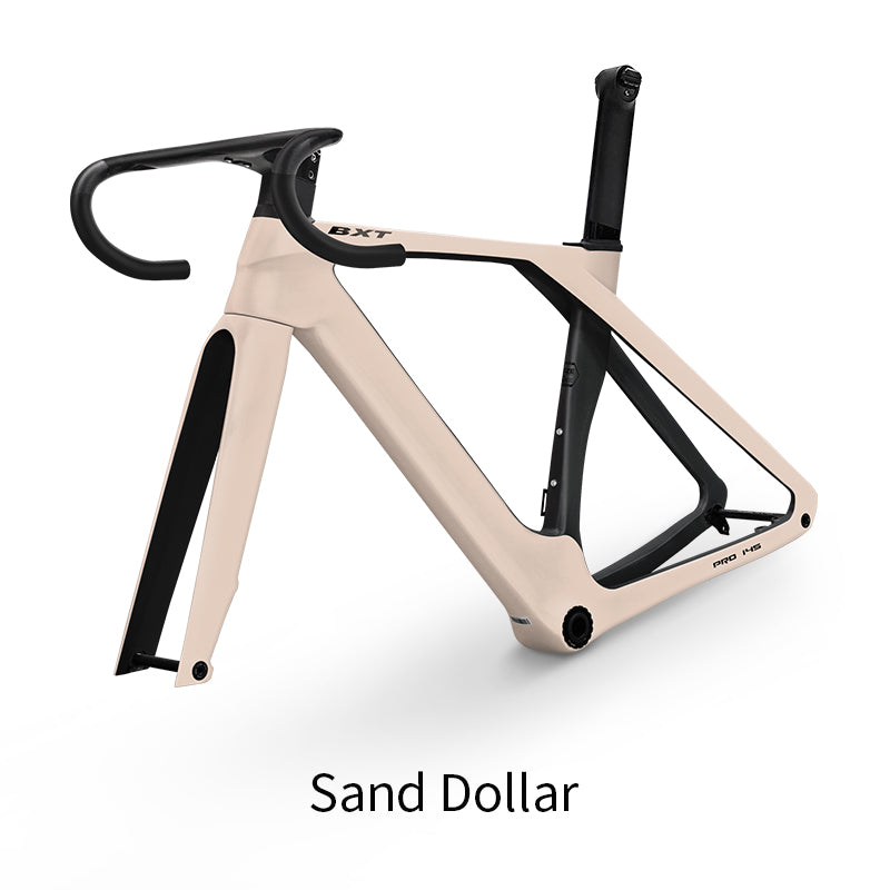 BXT Fully Hidden Carbon Disc Road Bike Frameset Lightweight Road Bicycle Carbon Frame  Aerodynamic DI2