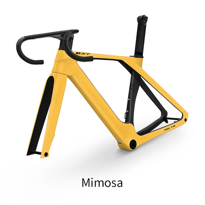 BXT Fully Hidden Carbon Disc Road Bike Frameset Lightweight Road Bicycle Carbon Frame  Aerodynamic DI2