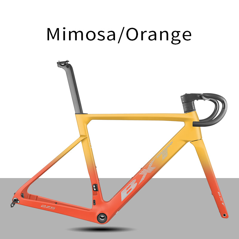 BXT Carbon Road Bike Frame Disc Brake, suitable for young riders/short person，Parent-child bicycle frame XXXS-XL, UDH  Hanger Full Hidden Cable road frameset