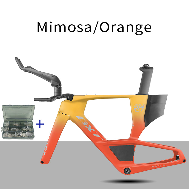 BXT 2026 New Carbon Fiber Triathlon Bike Frame Set with TT Handlebars, TT Track Aerial Handlebars, and Bicyele Disc Brakes.