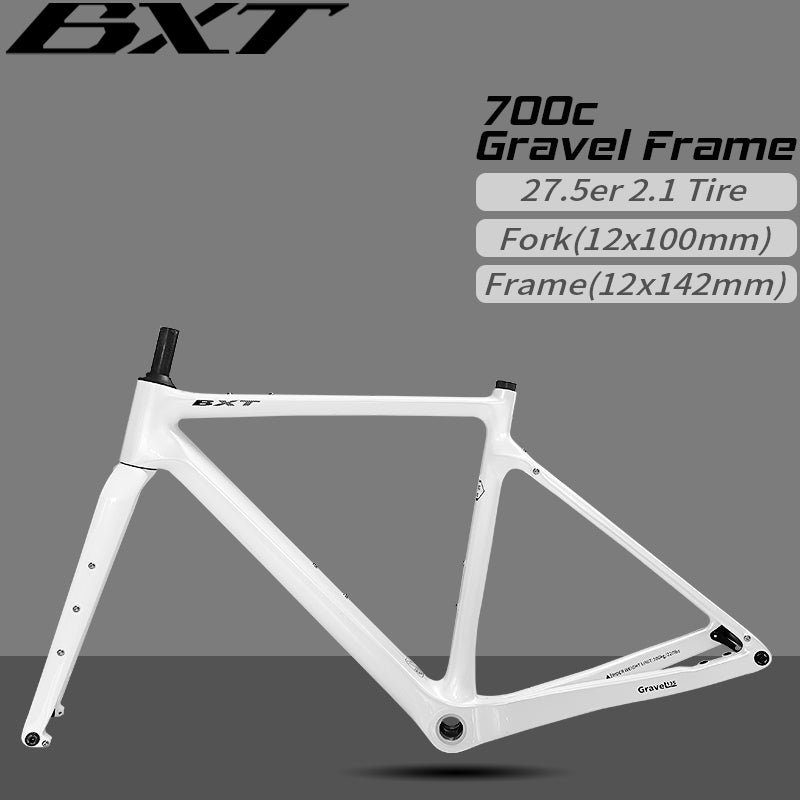 BXT Carbon Gravel Bike Frame Internal Cable Fully Hidden Cable Gravel Bicycle Frameset Road Bike Disc Brake