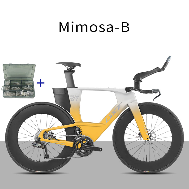 BXT -TT-219 New Carbon Time Trial/Triathlon Bike Carbon Fiber Bikes Road Bike LTWOO ERX 24 Speeds TT Bicycle