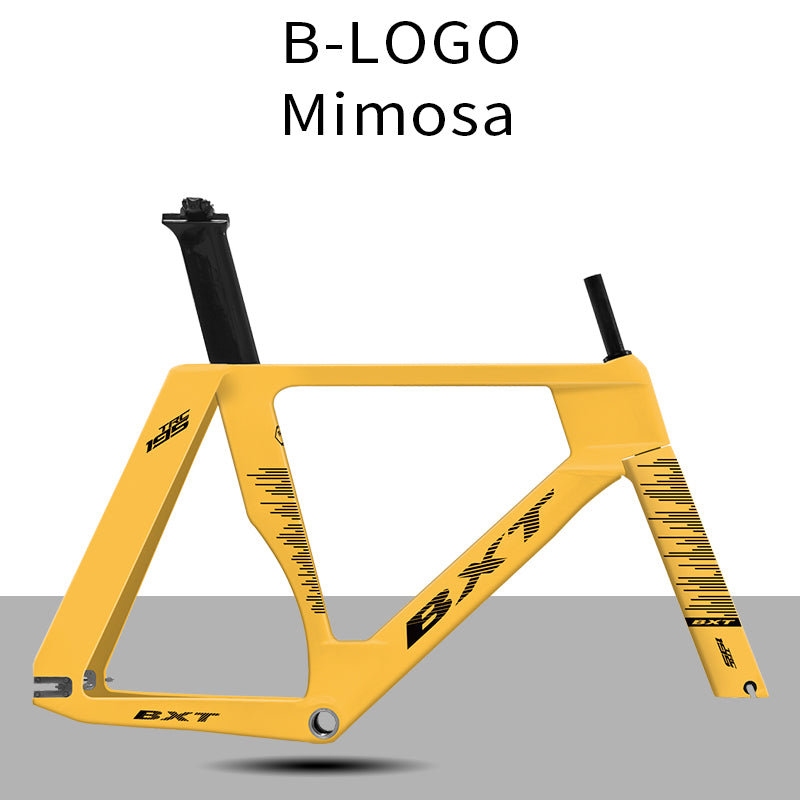 BXT New Carbon Track Frame Fixed Gear Track Bike Carbon Fibre Frame TRC-195 Single speed Track Frameset 700Cx28C