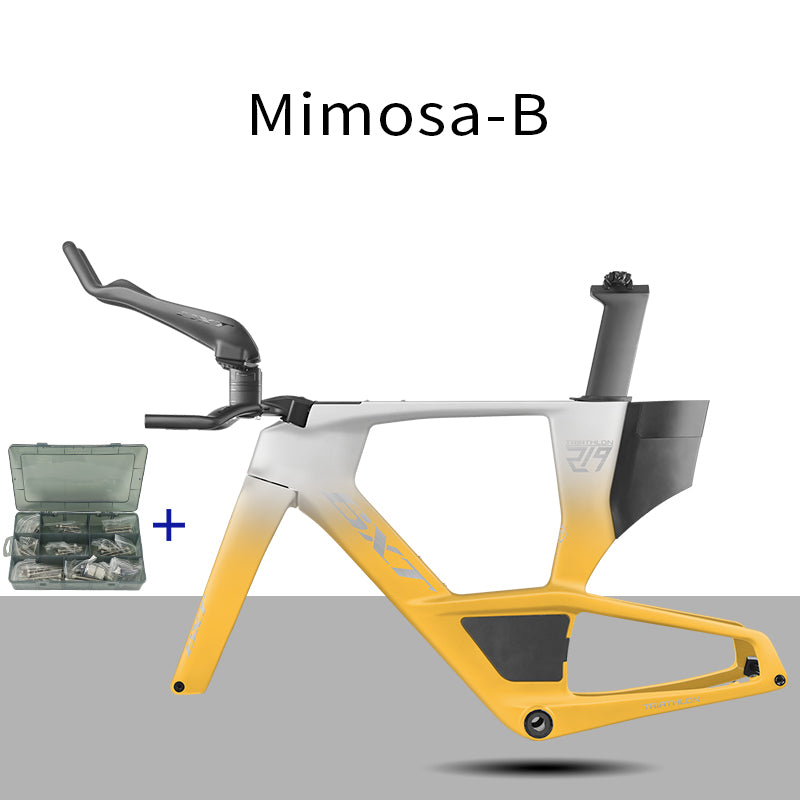 BXT 2026 Carbon T1000 BXT Disc Brake Carbon TT Bike Frame Time Trial Racing Bike Frameset with TT Handlebar Storage Case Triathlon Bicycle Frame