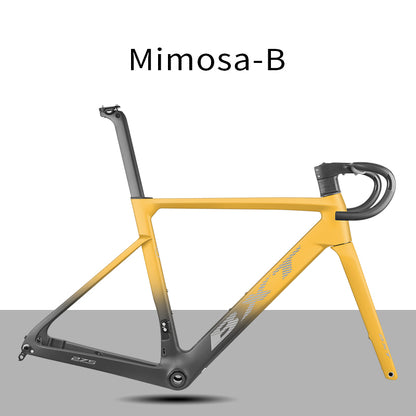 BXT  Carbon Road Bike Frame XXXS-XL size Disc Brake Full Hidden Cable UDH Hanger Road Bicycle Frameset T1000 With