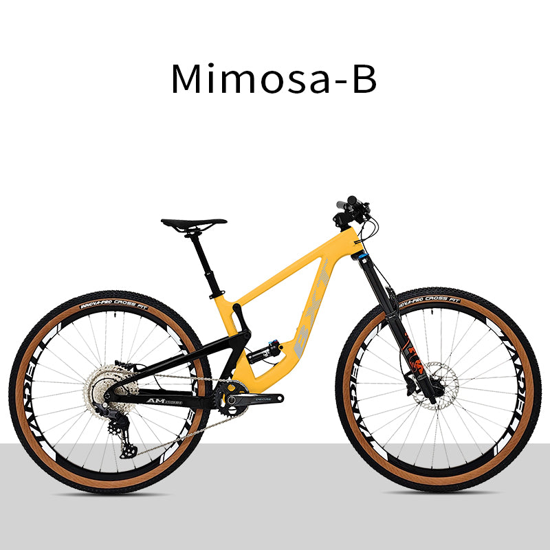 BXT 29 inch MTB Carbon Fiber Full Suspension All Mountain Bike M6100-12S Hydraulic disc brakes 12 speed Downhill Bicycle AM