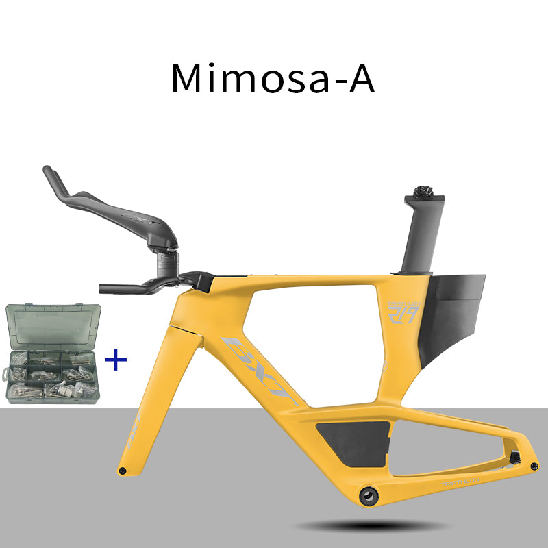 BXT 2026 Carbon T1000 BXT Disc Brake Carbon TT Bike Frame Time Trial Racing Bike Frameset with TT Handlebar Storage Case Triathlon Bicycle Frame