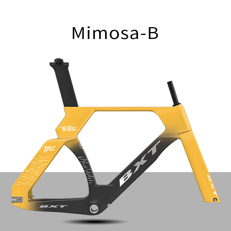 BXT New Carbon Track Frame model-695 EPS one-piece molding Racing Tracking bike Frameset Fixed Gear bike frame Single speed