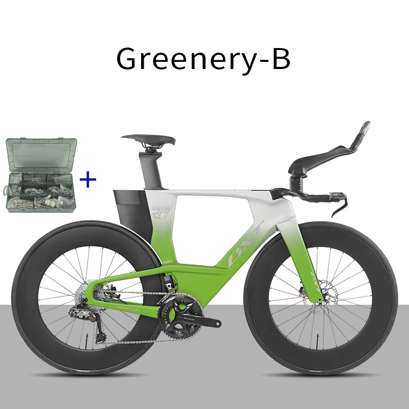 BXT -TT-219 New Carbon Time Trial/Triathlon Bike Carbon Fiber Bikes Road Bike LTWOO ERX 24 Speeds TT Bicycle