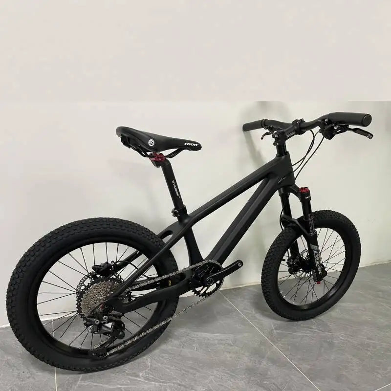 BXT Carbon Mountain Bike for Children and Teenager, MTB Bicycle, Cycling Exercise, Suitable for Heights 125-145cm, 20er