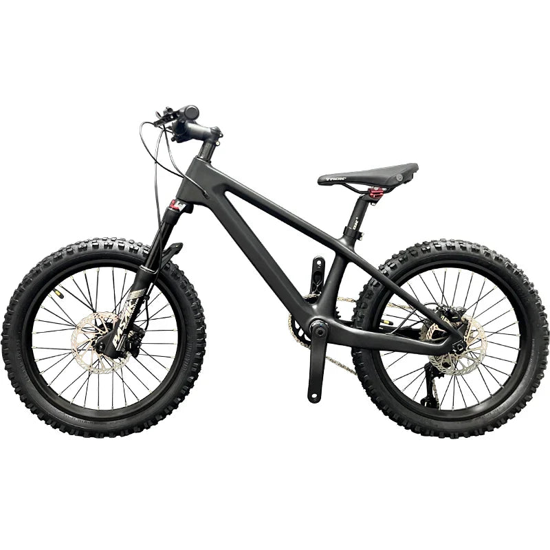 BXT Carbon Mountain Bike for Children and Teenager, MTB Bicycle, Cycling Exercise, Suitable for Heights 125-145cm, 20er