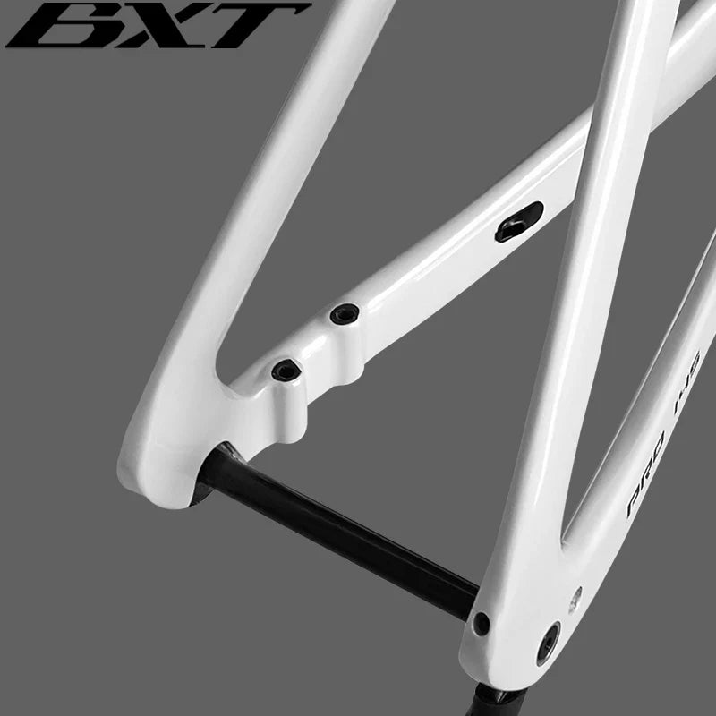 BXT Fully Hidden Carbon Disc Road Bike Frameset Lightweight Road Bicycle Carbon Frame  Aerodynamic DI2