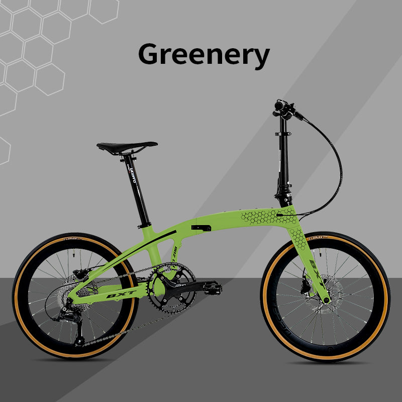 BXT Full Carbon Folding Bike 20 Inch Foldable Bike 9-Speed Disc Brake Carbon Folding Bicycle